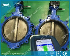 Leptir ventil Hastelloy C22