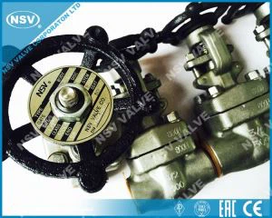 Incoloy 800H Gate ventil